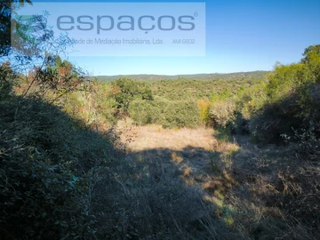 Terreno Agricola ou Rústico para Venda em Castelo Branco