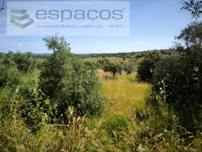 Terreno Agricola ou Rústico para Venda em Castelo Branco Foto 12
