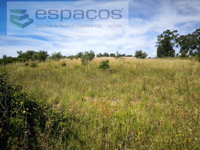 Terreno Agricola ou Rústico para Venda em Castelo Branco Foto 13