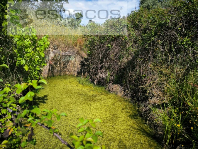Terreno Agricola ou Rústico para Venda em Castelo Branco Foto 16