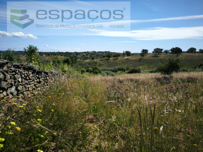 Terreno Agricola ou Rústico para Venda em Castelo Branco Foto 17