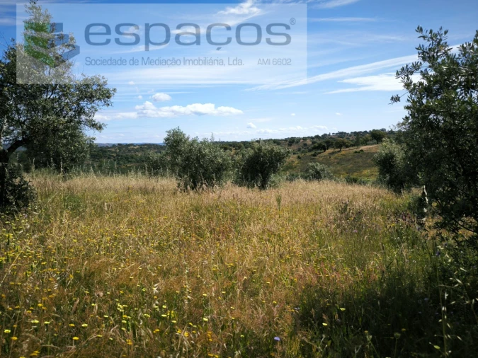 Terreno Agricola ou Rústico para Venda em Castelo Branco Foto 18