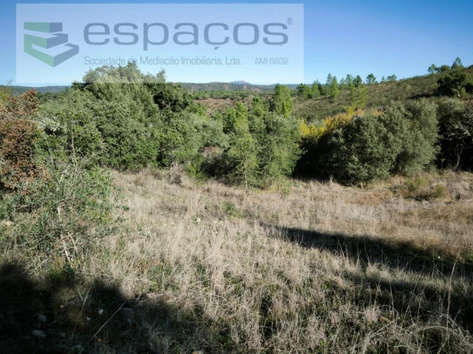 Terreno Agricola ou Rústico para Venda em Castelo Branco Foto 2
