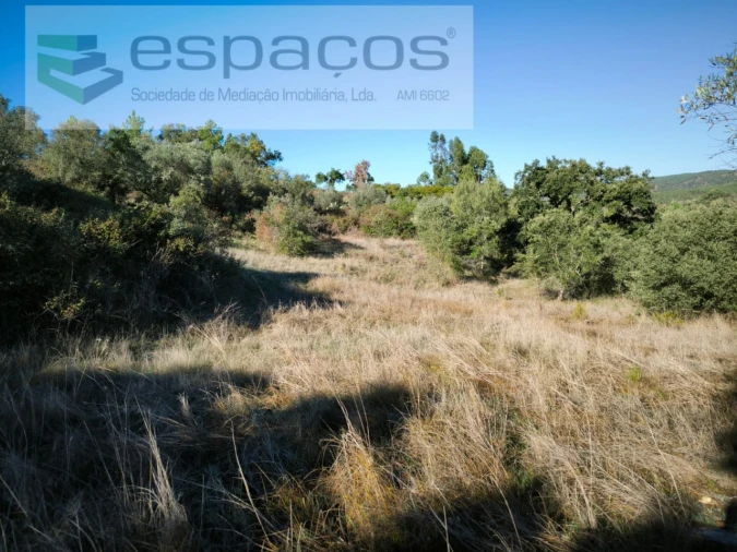 Terreno Agricola ou Rústico para Venda em Castelo Branco Foto 4