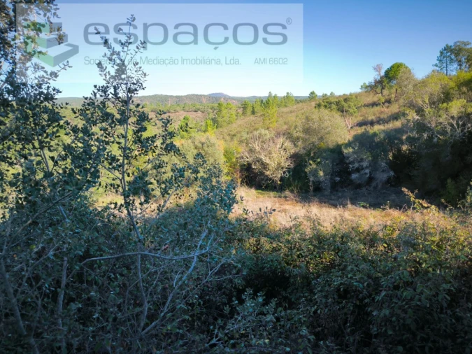 Terreno Agricola ou Rústico para Venda em Castelo Branco Foto 5