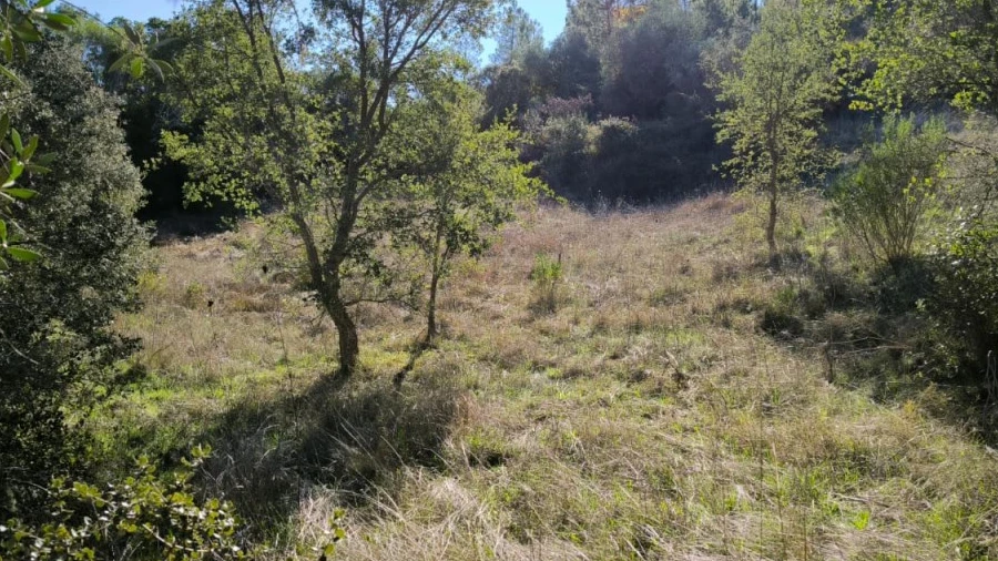 Terreno Agricola ou Rústico para Venda em Castelo Branco