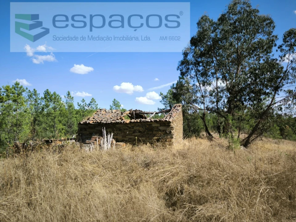 Quinta para Venda em Sarzedas Foto 1