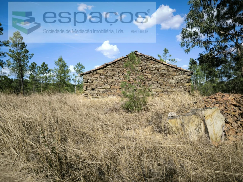 Quinta para Venda em Sarzedas Foto 2