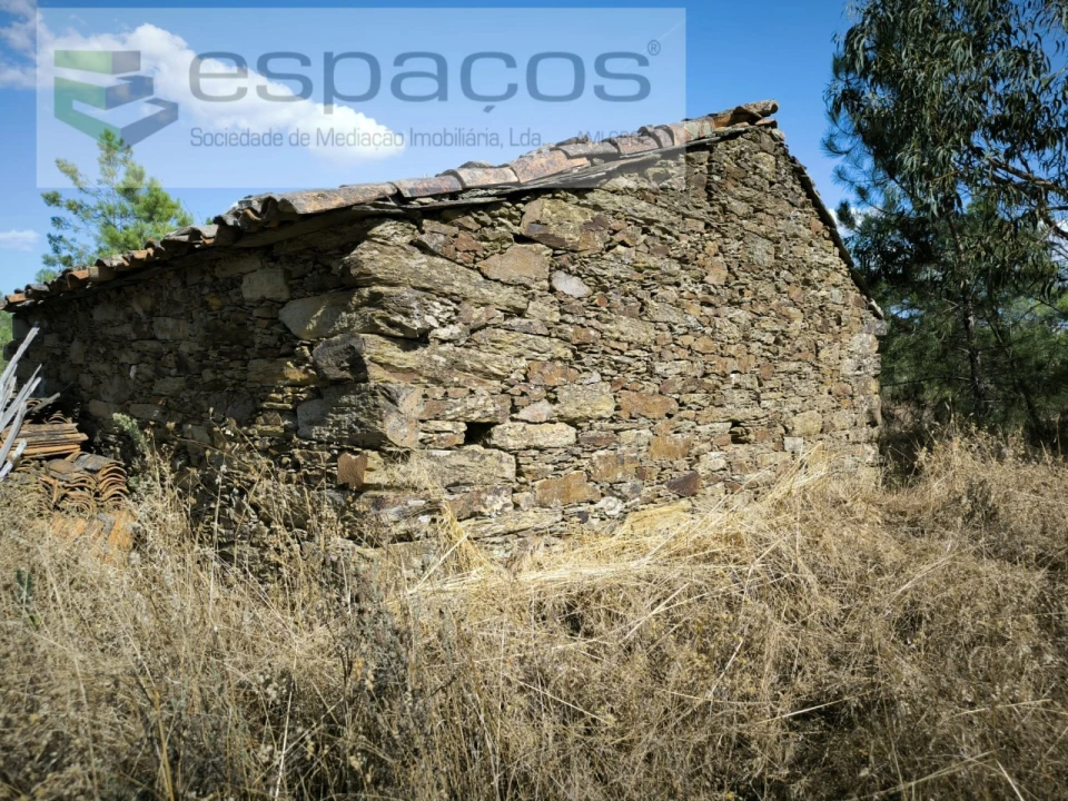 Quinta para Venda em Sarzedas Foto 3
