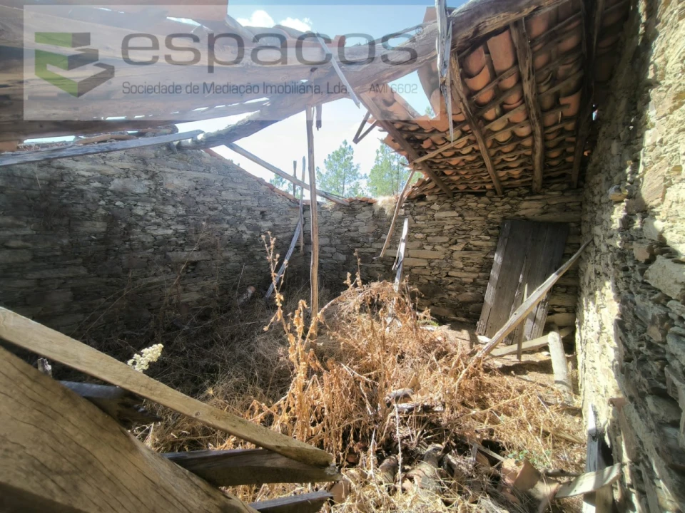 Quinta para Venda em Sarzedas Foto 4