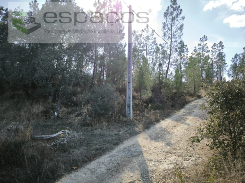 Quinta para Venda em Sarzedas Foto 9