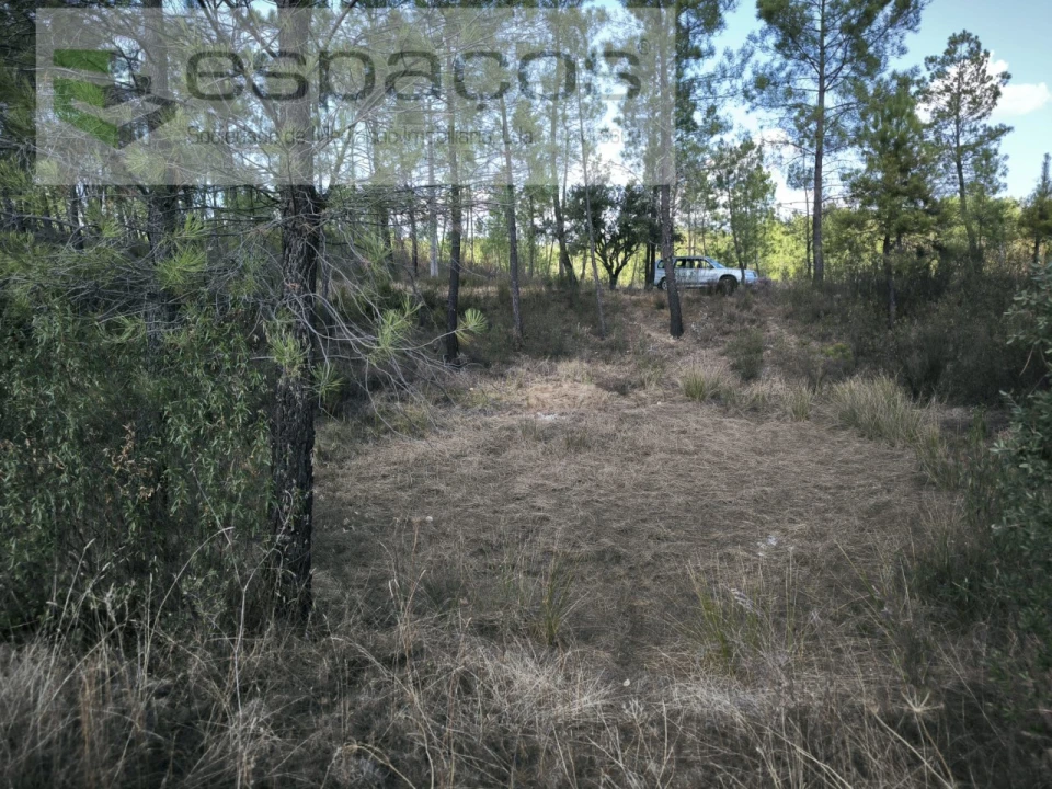 Quinta para Venda em Sarzedas Foto 12