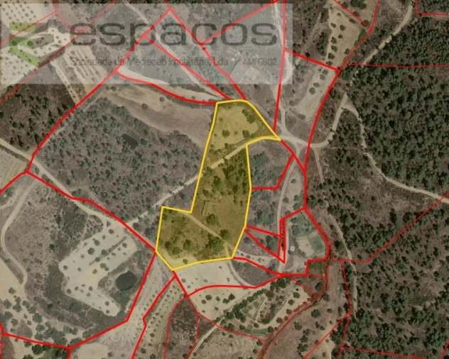 Quinta para Venda em Sarzedas Foto 13