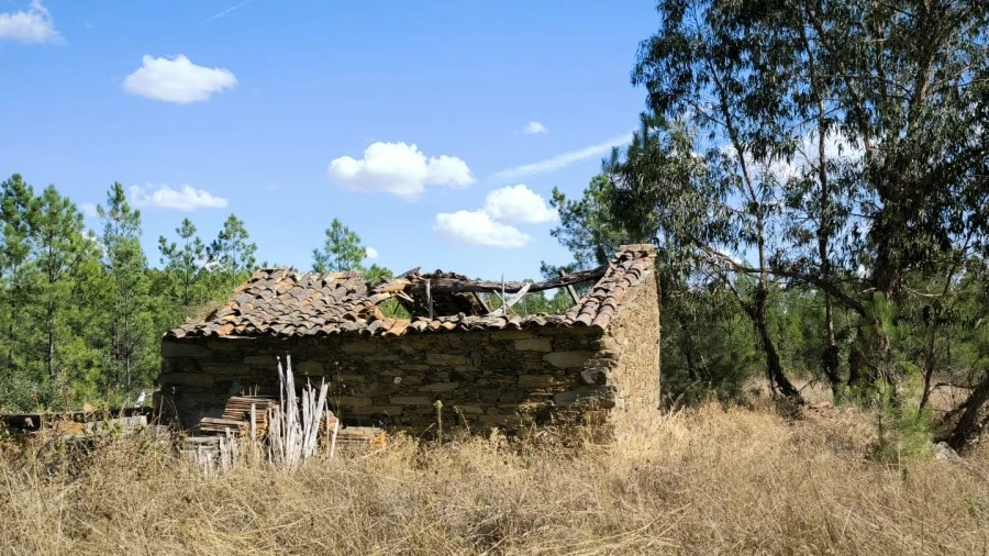 Quinta para Venda em Sarzedas