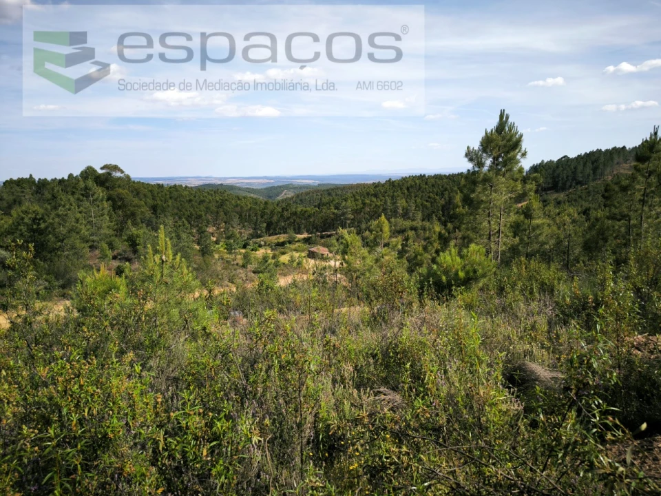 Quinta para Venda em Benquerenças Foto 4