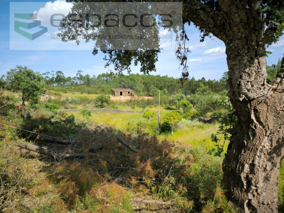 Quinta para Venda em Benquerenças Foto 1