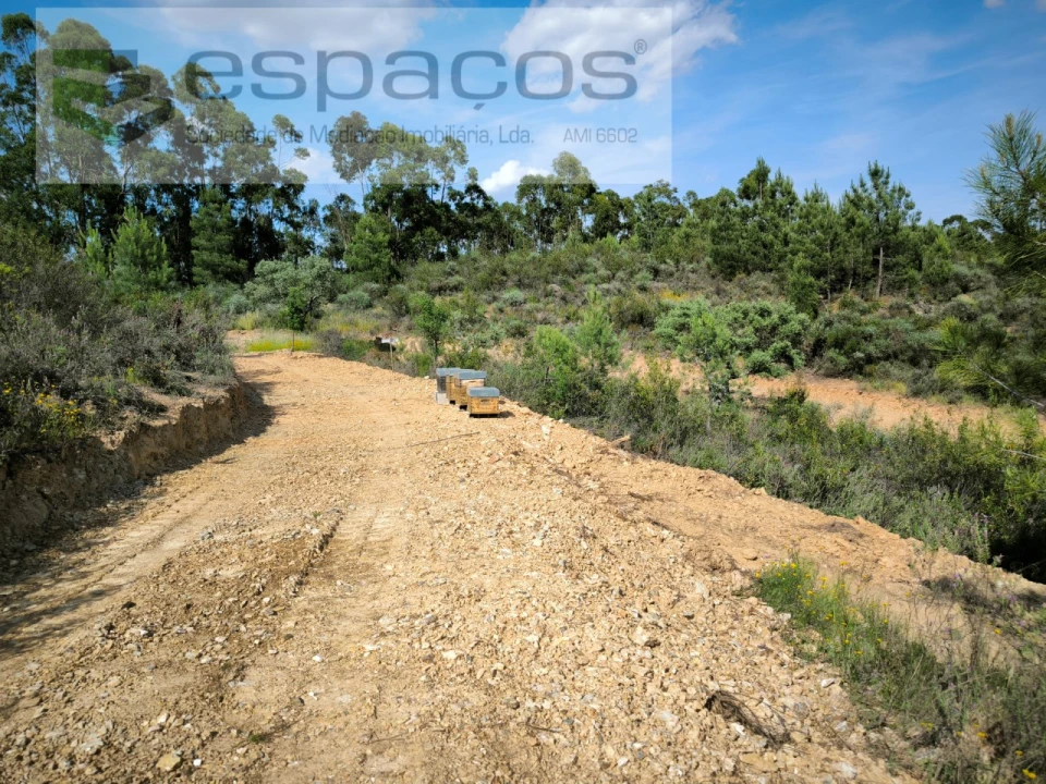 Quinta para Venda em Benquerenças Foto 7