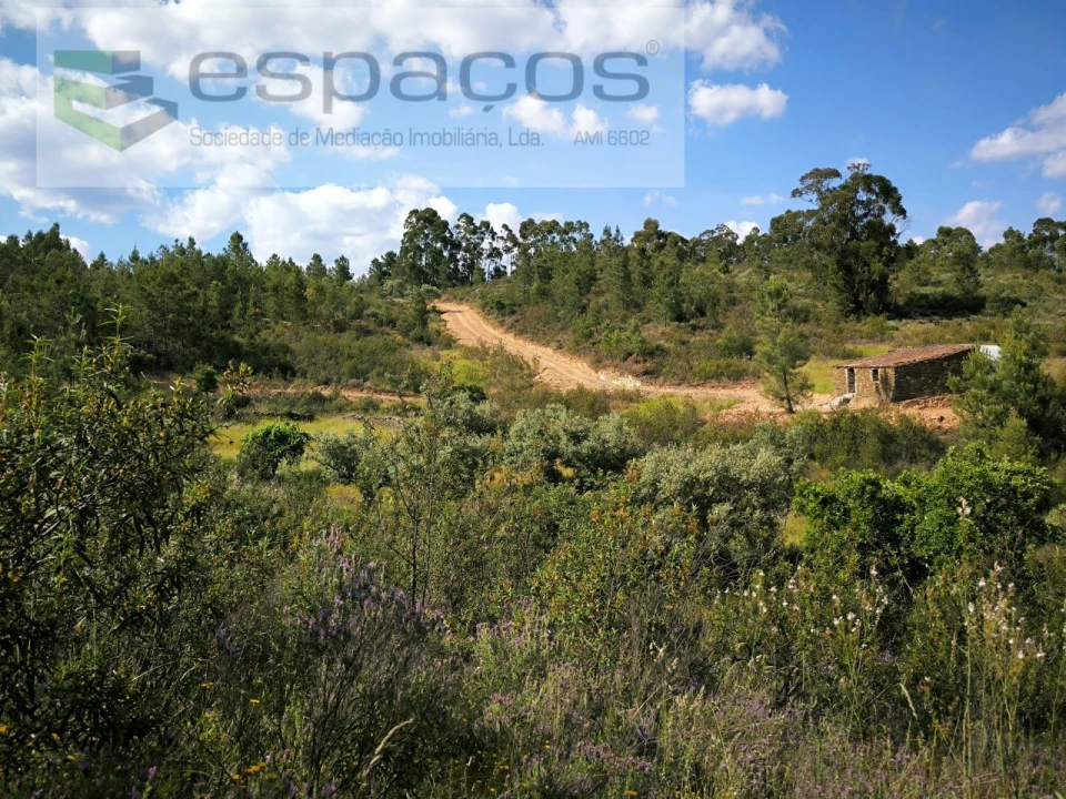 Quinta para Venda em Benquerenças Foto 5