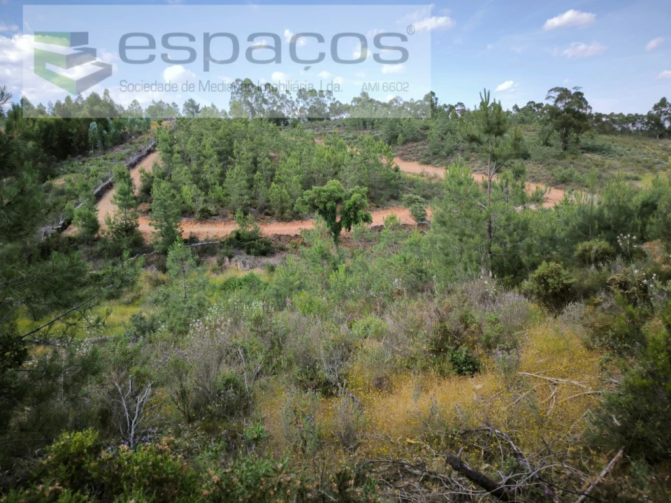 Quinta para Venda em Benquerenças Foto 13