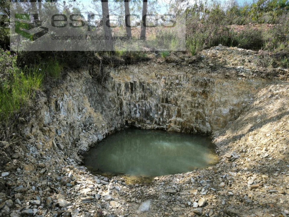 Quinta para Venda em Benquerenças Foto 14