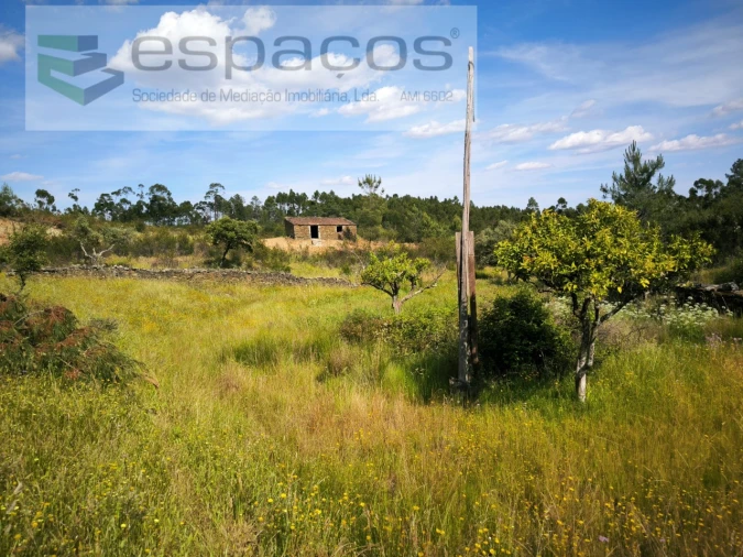 Quinta para Venda em Benquerenças Foto 2