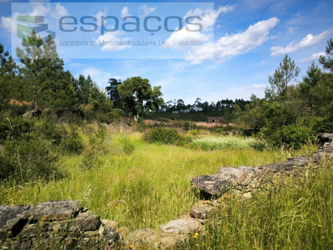 Quinta para Venda em Benquerenças Foto 3