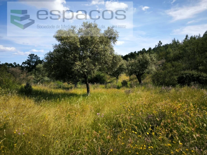 Quinta para Venda em Benquerenças Foto 6
