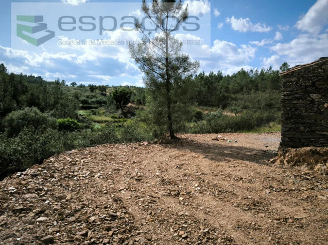 Quinta para Venda em Benquerenças Foto 10