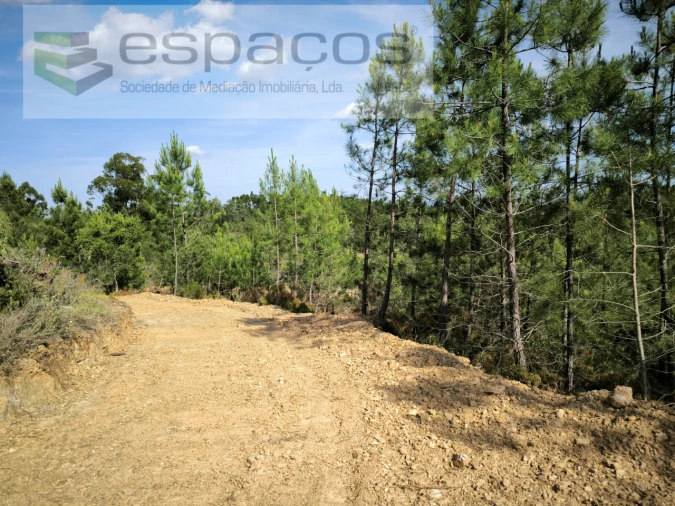 Quinta para Venda em Benquerenças Foto 11