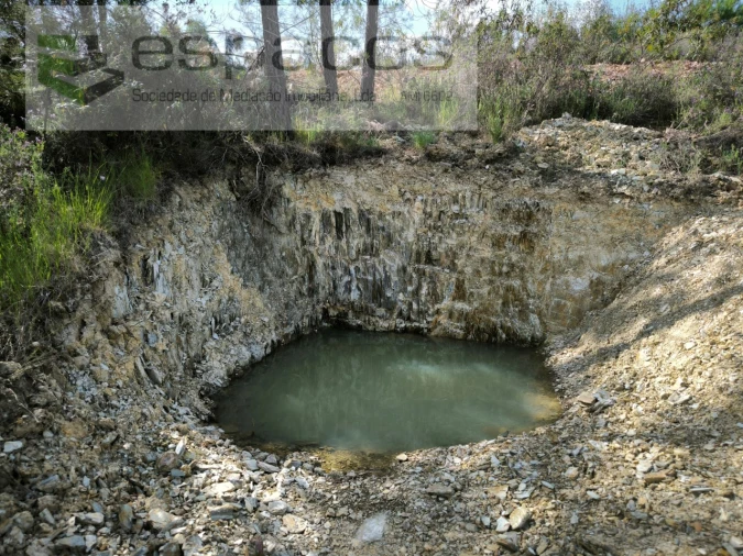 Quinta para Venda em Benquerenças Foto 14