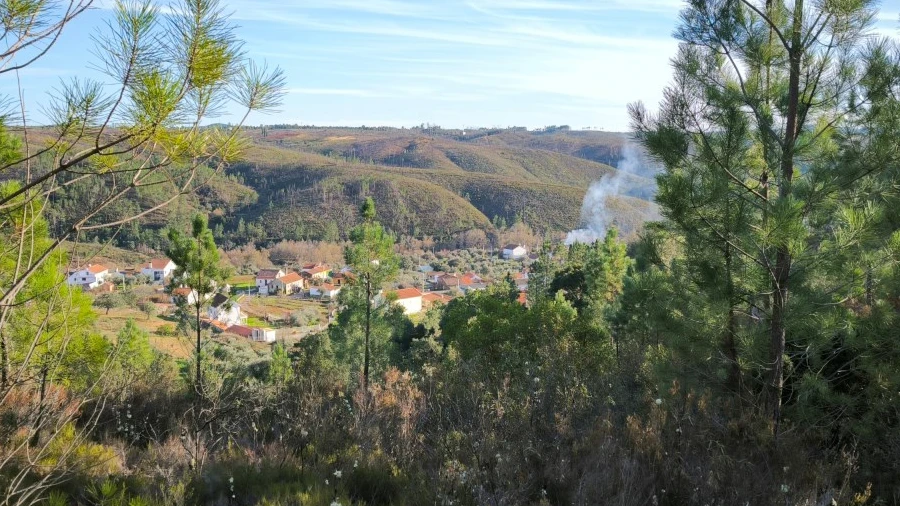 Terreno Agricola ou Rústico para Venda em Sobreira Formosa e Alvito da Beira