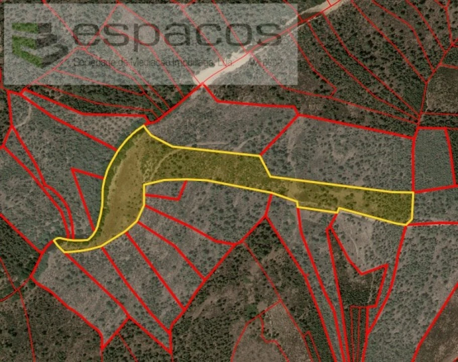 Terreno Agricola ou Rústico para Venda em Freixial e Juncal do Campo Foto 13