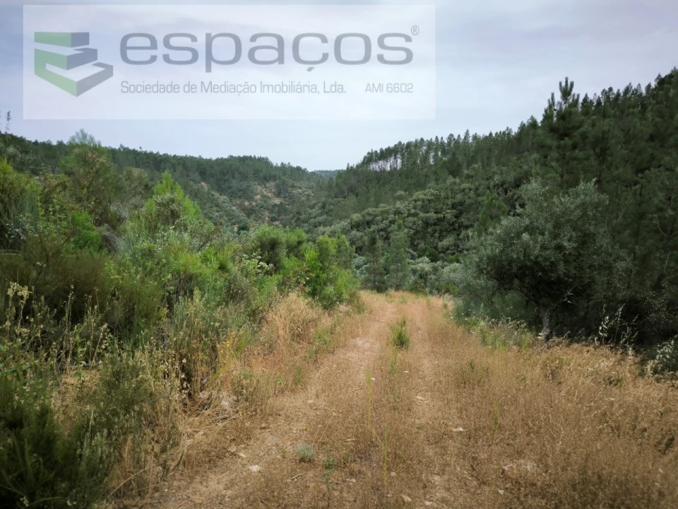 Terreno Agricola ou Rústico para Venda em Freixial e Juncal do Campo Foto 4