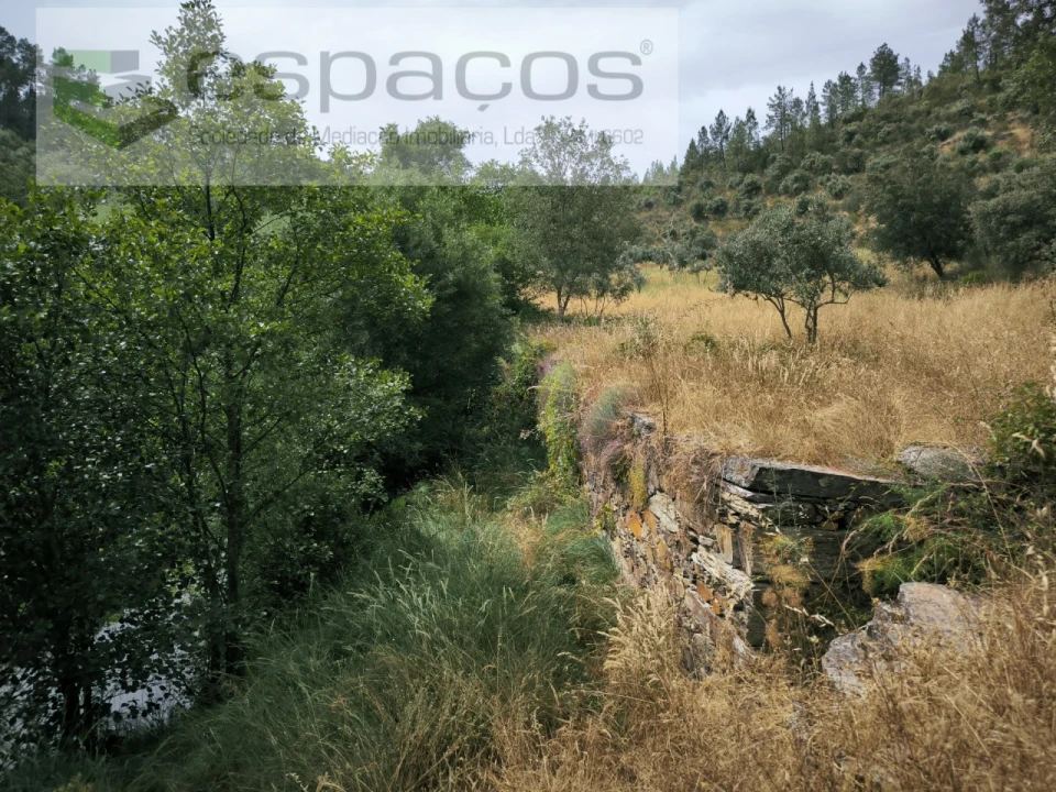 Terreno Agricola ou Rústico para Venda em Freixial e Juncal do Campo Foto 6