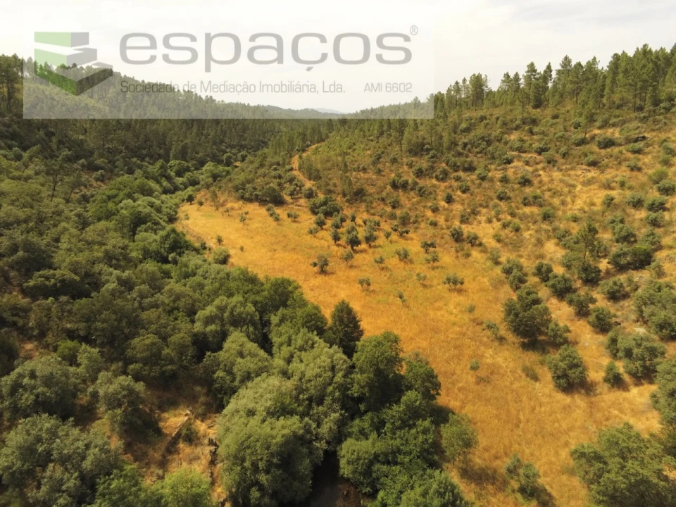 Terreno Agricola ou Rústico para Venda em Freixial e Juncal do Campo Foto 8
