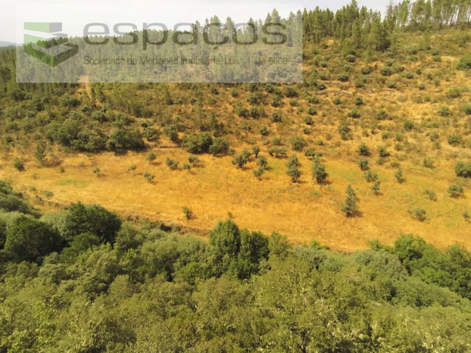 Terreno Agricola ou Rústico para Venda em Freixial e Juncal do Campo Foto 9
