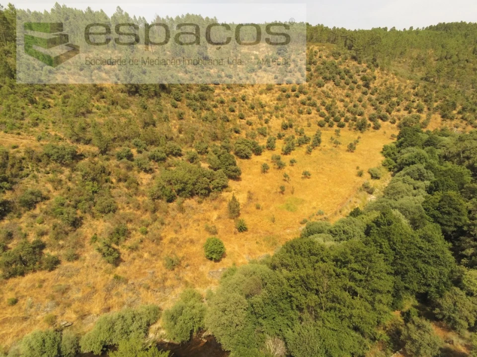 Terreno Agricola ou Rústico para Venda em Freixial e Juncal do Campo Foto 12