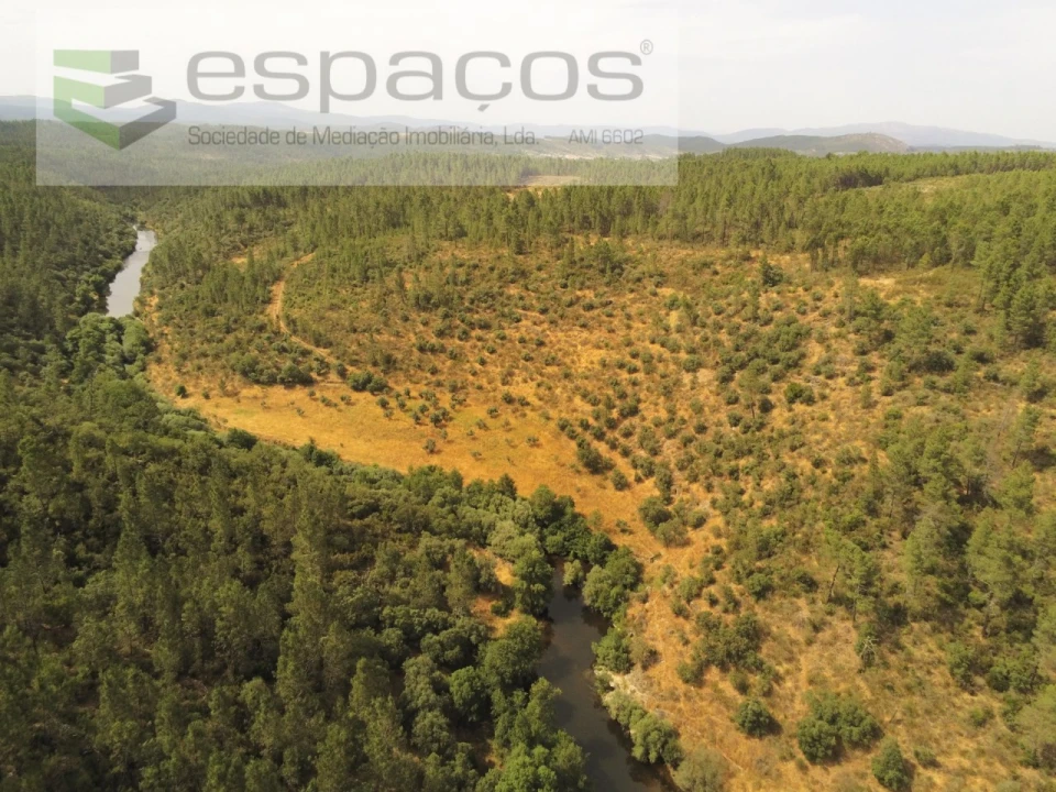 Terreno Agricola ou Rústico para Venda em Freixial e Juncal do Campo Foto 3