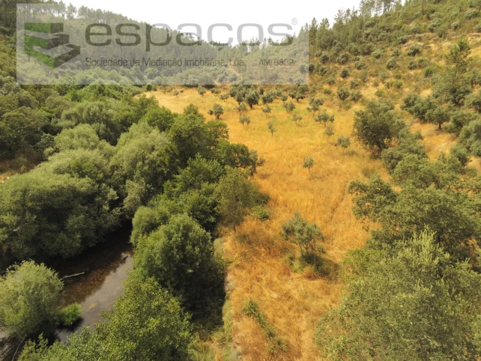 Terreno Agricola ou Rústico para Venda em Freixial e Juncal do Campo Foto 1