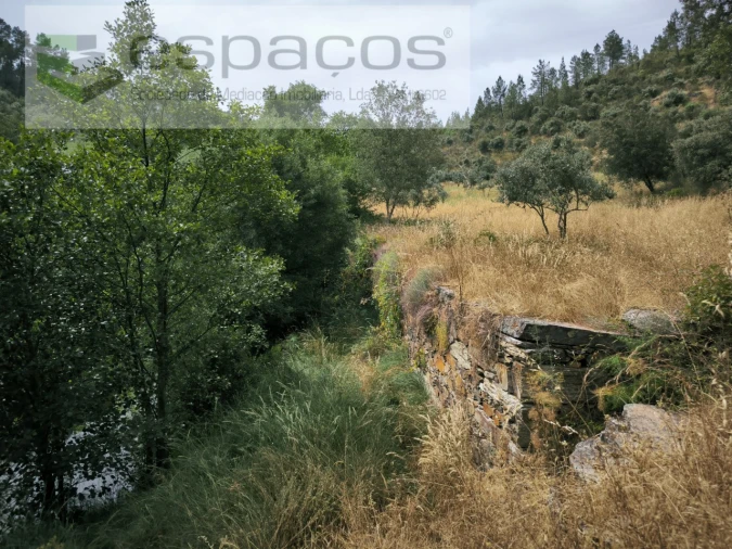 Terreno Agricola ou Rústico para Venda em Freixial e Juncal do Campo Foto 6