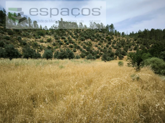 Terreno Agricola ou Rústico para Venda em Freixial e Juncal do Campo Foto 7
