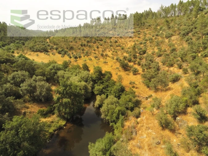 Terreno Agricola ou Rústico para Venda em Freixial e Juncal do Campo Foto 2