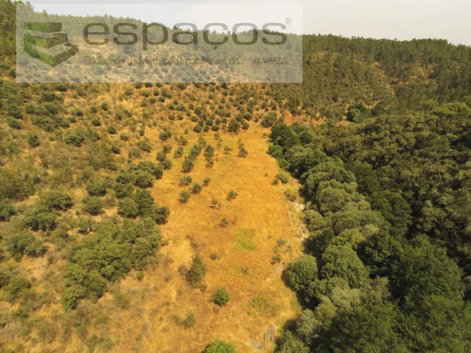 Terreno Agricola ou Rústico para Venda em Freixial e Juncal do Campo Foto 10