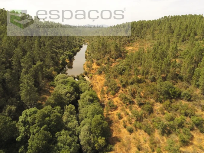 Terreno Agricola ou Rústico para Venda em Freixial e Juncal do Campo Foto 11