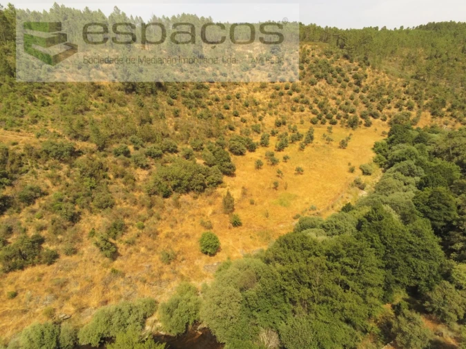Terreno Agricola ou Rústico para Venda em Freixial e Juncal do Campo Foto 12