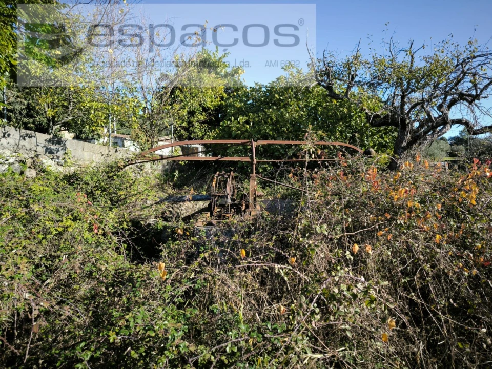 Terreno Agricola ou Rústico para Venda em Salgueiro do Campo Foto 5