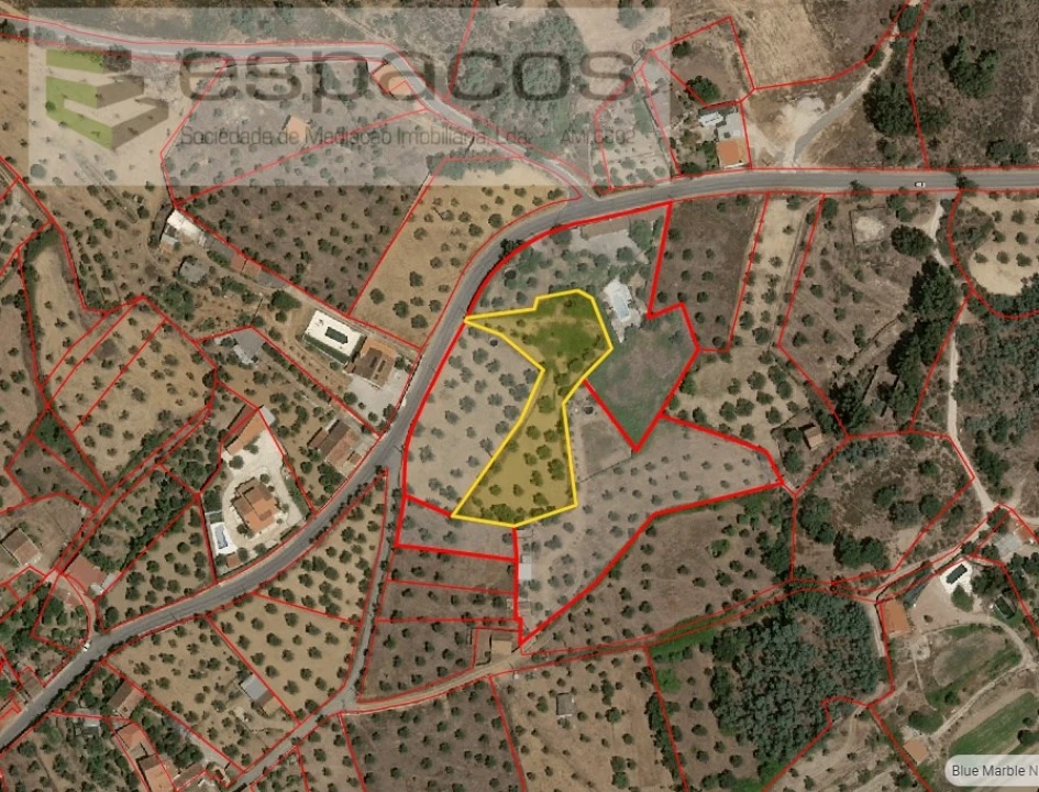 Terreno Agricola ou Rústico para Venda em Salgueiro do Campo Foto 8