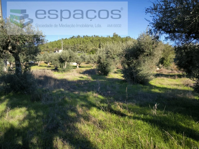 Terreno Agricola ou Rústico para Venda em Salgueiro do Campo Foto 3