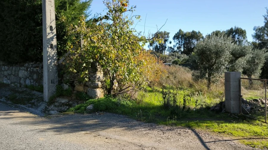 Terreno Agricola ou Rústico para Venda em Salgueiro do Campo