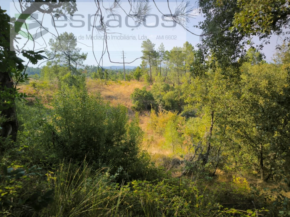 Terreno Agricola ou Rústico para Venda em Sarzedas Foto 1